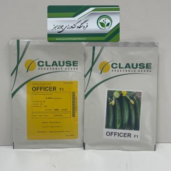 بذر خیار افیسر officer f1 